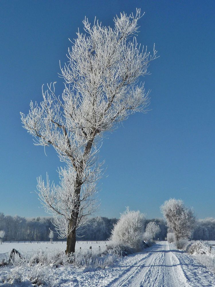 Wann wird's mal wieder Winter