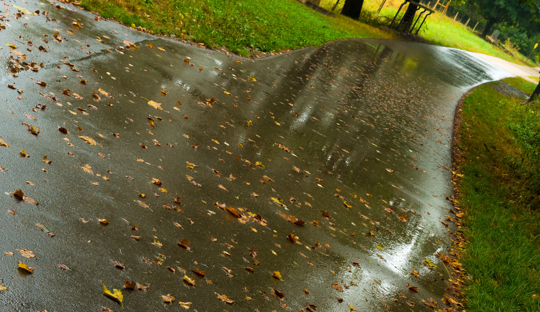 Wann wir's mal wieder richtig Sommer