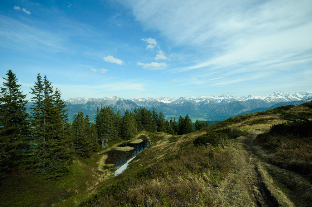 Wannenkopf - Aussicht auf Oberstdorf