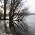wANnsEe