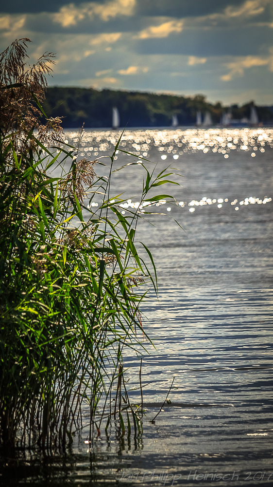 Wannsee am Abend