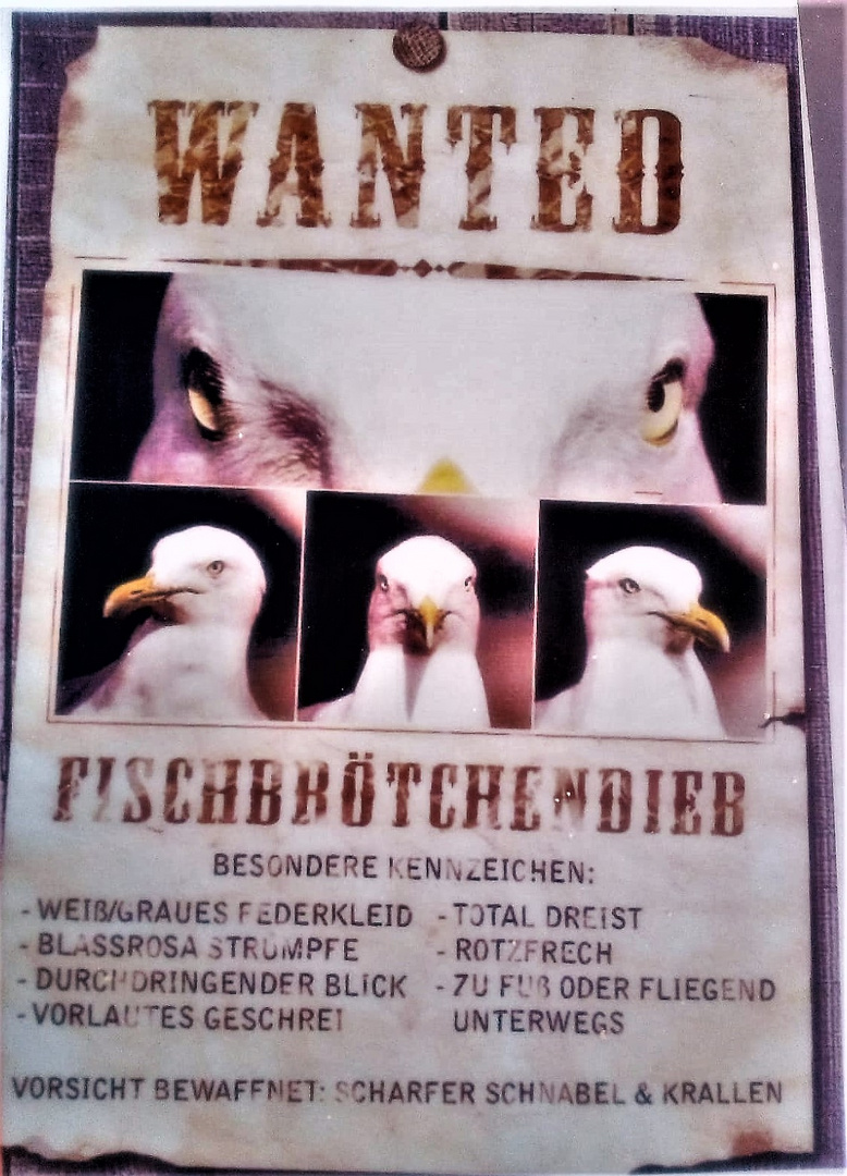 Wanted