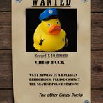 Wanted