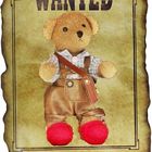 wanted