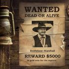 WANTED Dead or Alive