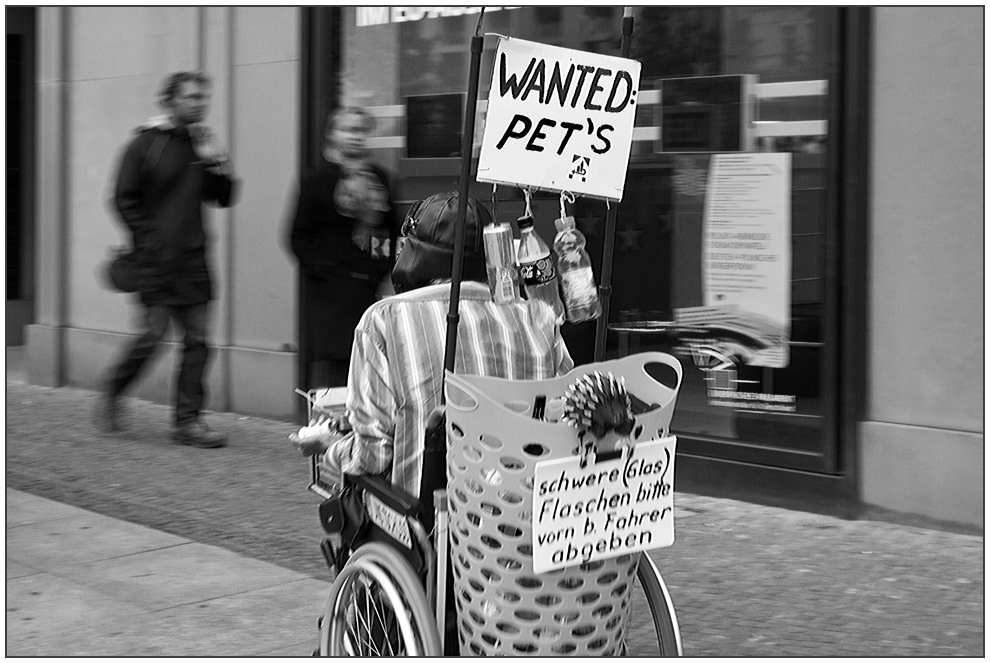 wanted pets