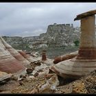 wanted: two small zebra hoodoos