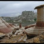 wanted: two small zebra hoodoos