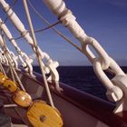 Wanten der Royal Clipper