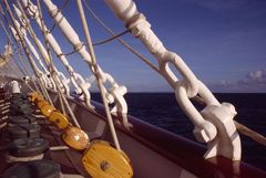 Wanten der Royal Clipper