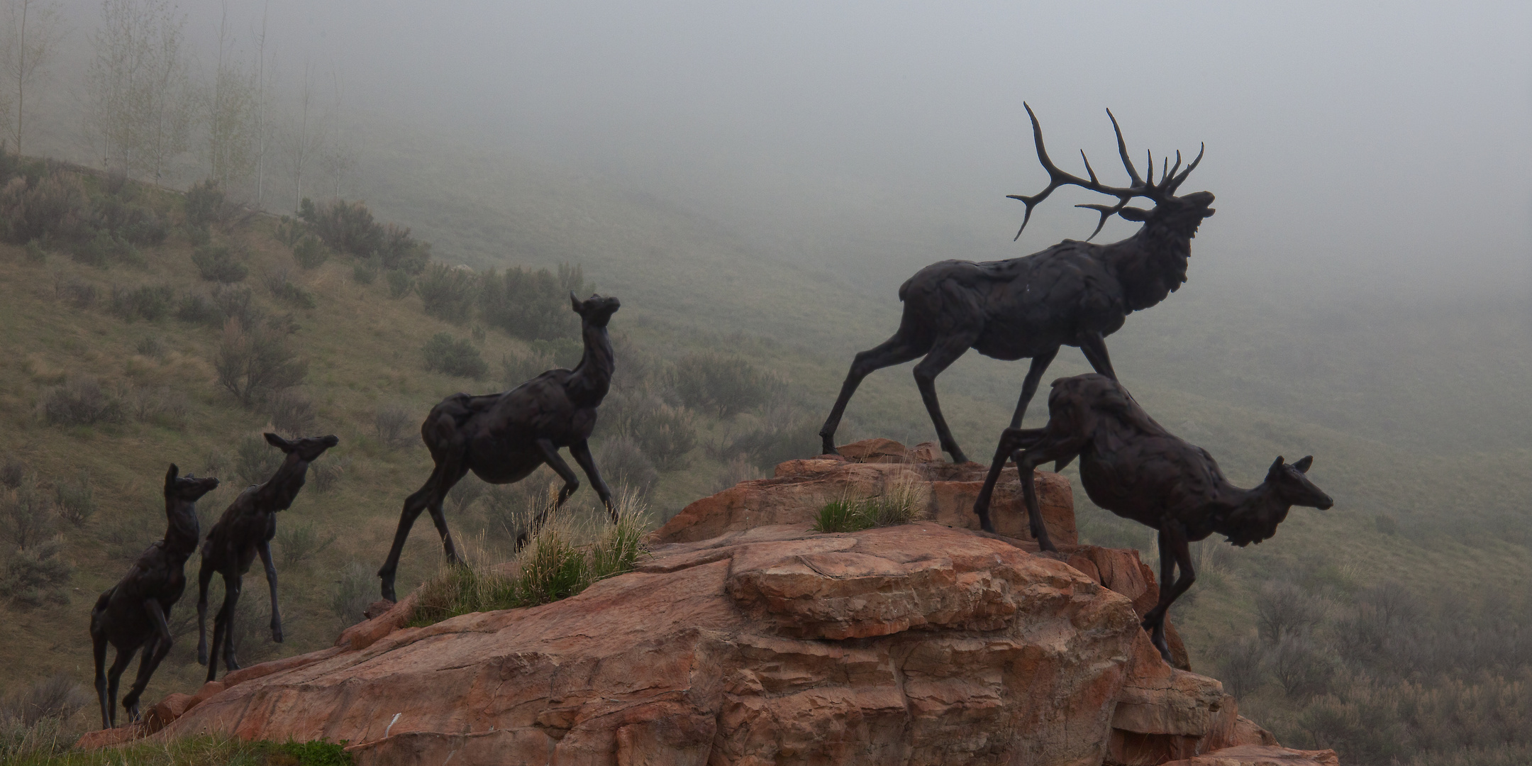 Wapiti Trail Sculpture Jackson Hole