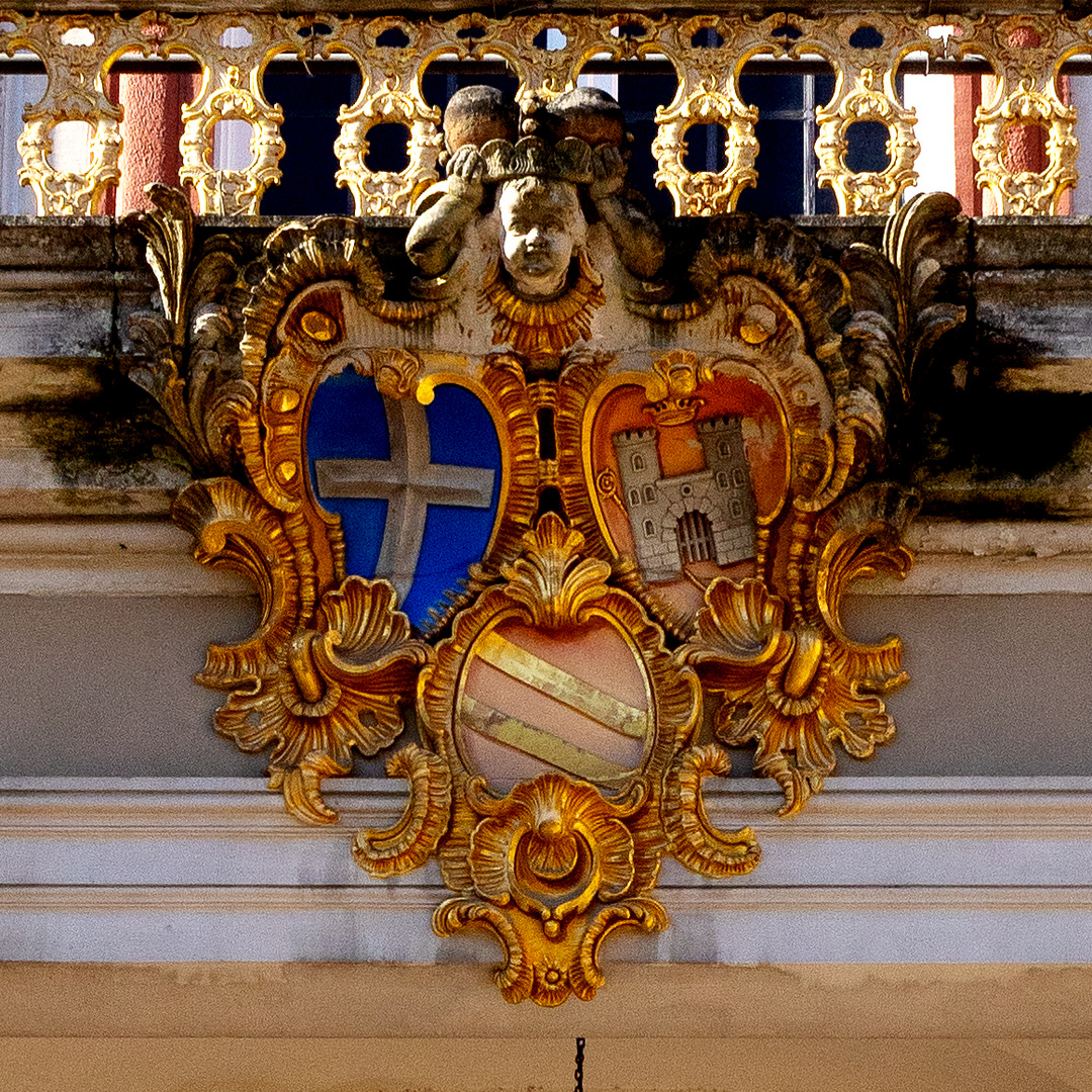 Wappen Christoph von Huttens