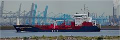 WAPPEN VON LEIBZIG / Chemical Tanker / Rotterdam
