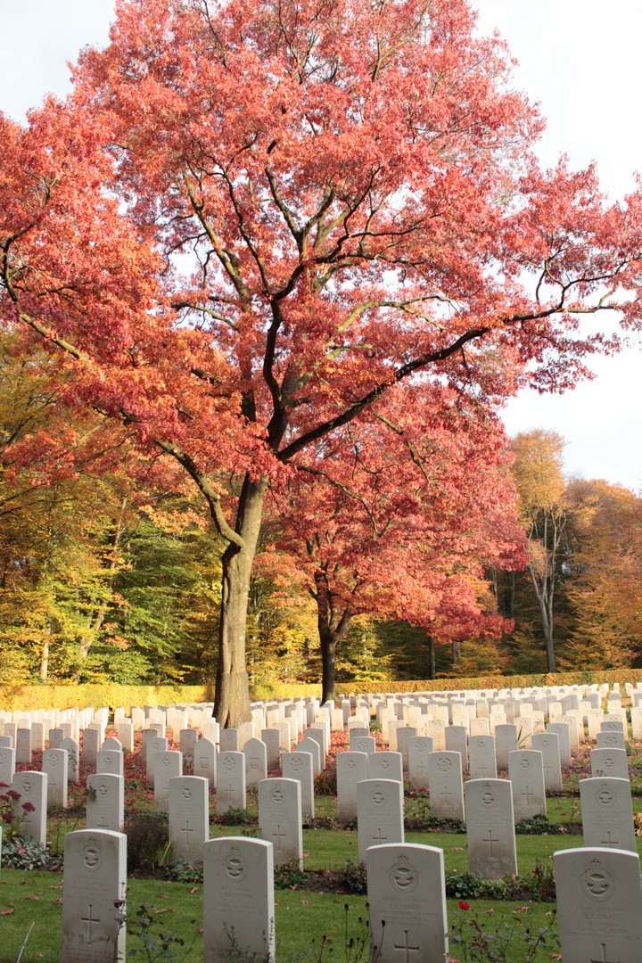 War Cemetery Reichswald Forest!