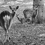 War da was? - Das Wochenende steht vor der Tür