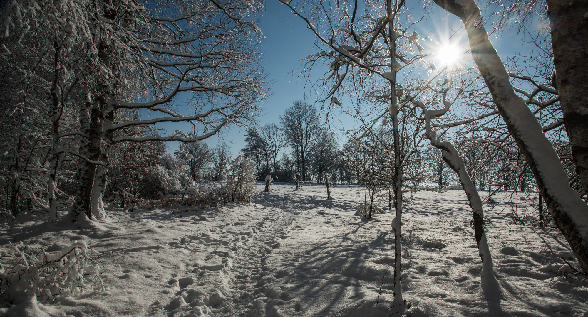 War das der Winter