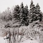 War das jetzt der letzte Schnee, .....