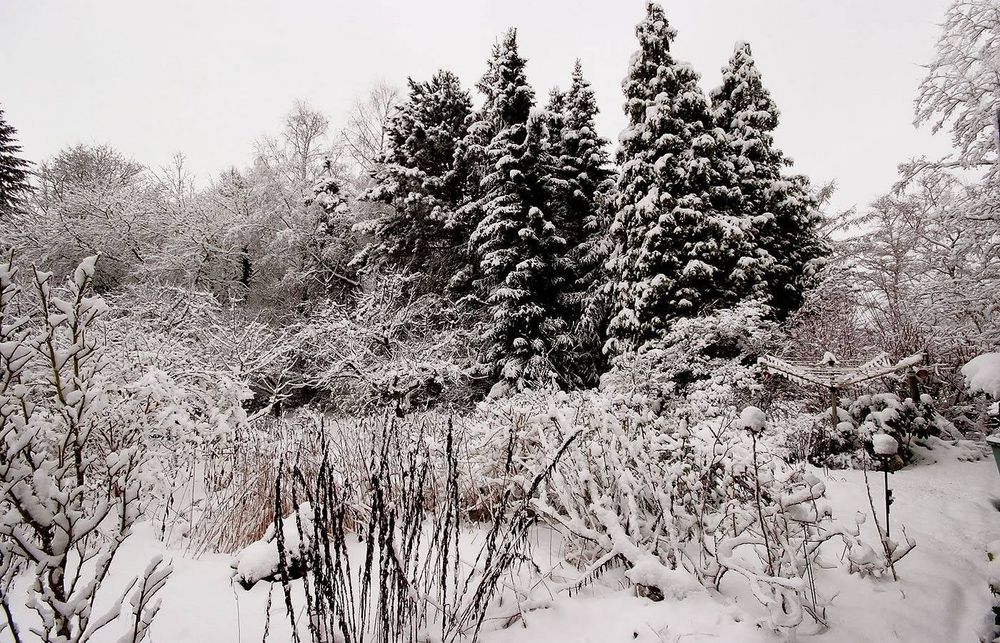 War das jetzt der letzte Schnee, .....