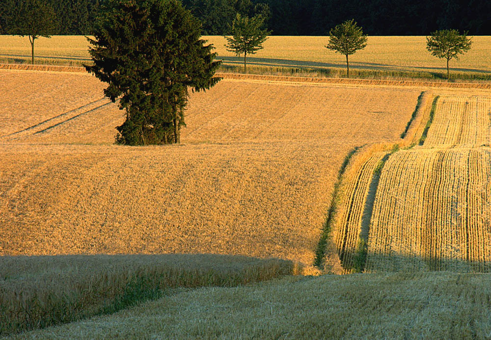 ...war das wirklich in diesem Sommer...?