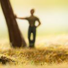 War der Baum schon schief 