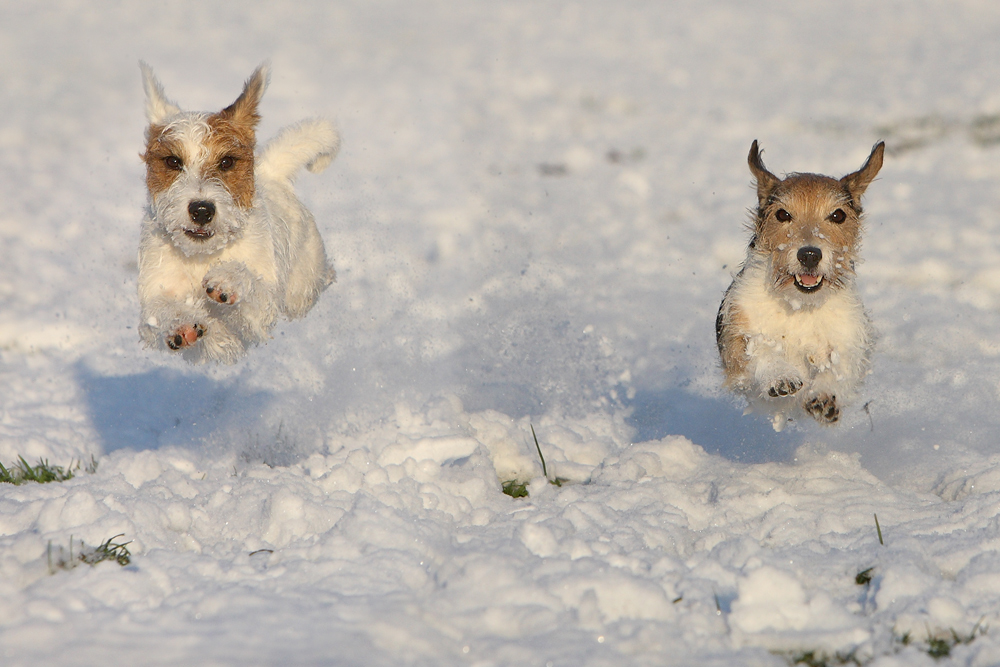 War der eine Tag Schnee