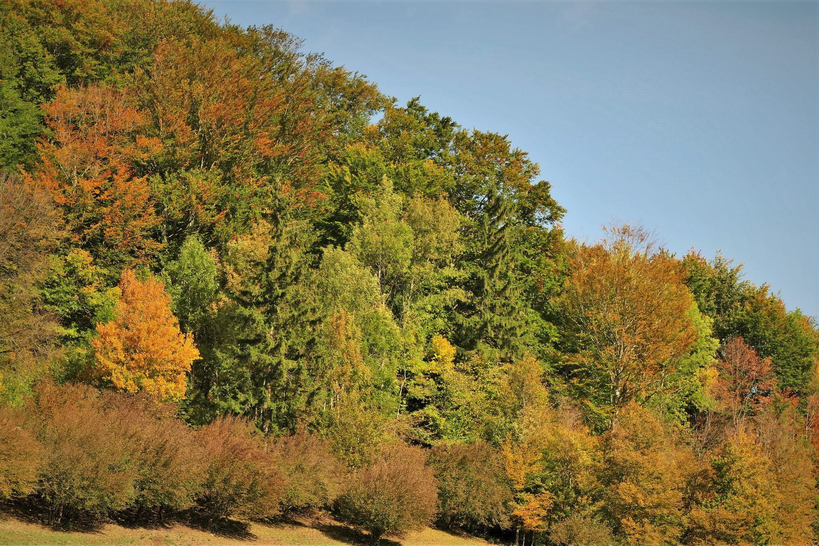 War der Herbst nicht schön ?