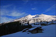 ...war heute wieder hier, am Weg zur Enzianhütte