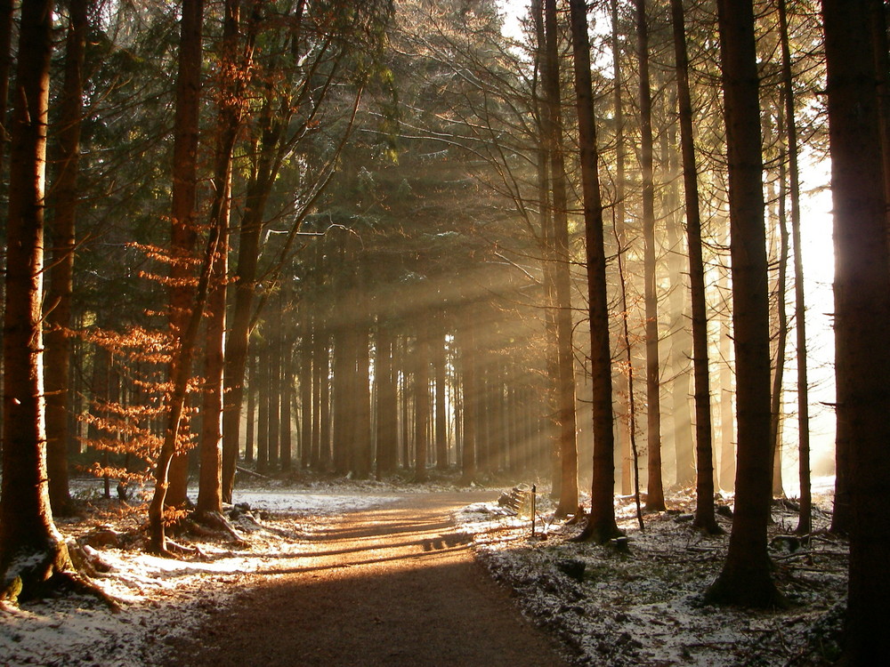 War kalt im Wald - aber richtig schön!