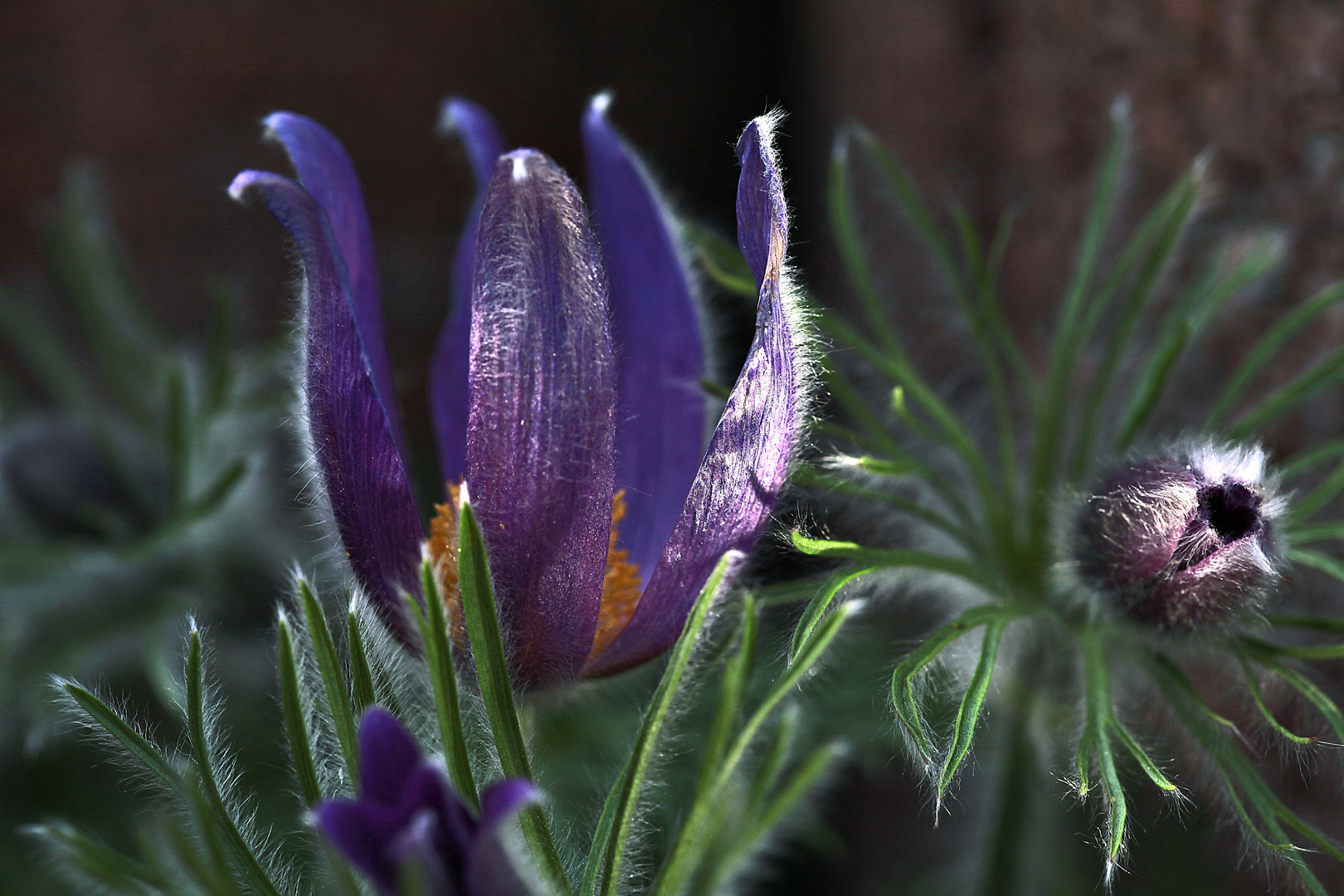 war mal kurz im Garten