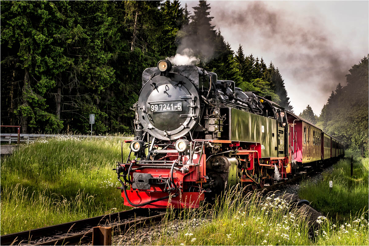 War mal wieder Dampfzug gucken...