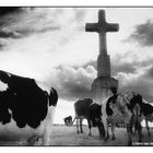 War memorial in Belgium