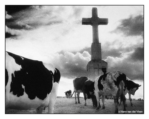 War memorial in Belgium