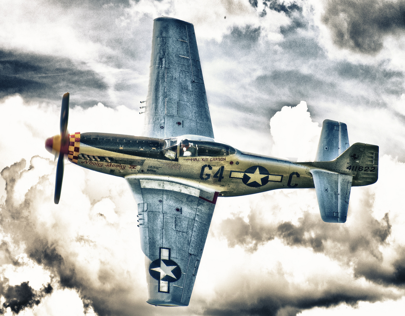 Warbird P51 Mustang