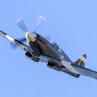 Warbird Spitfire