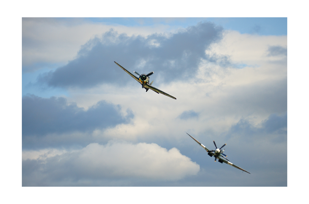 * warbirds *