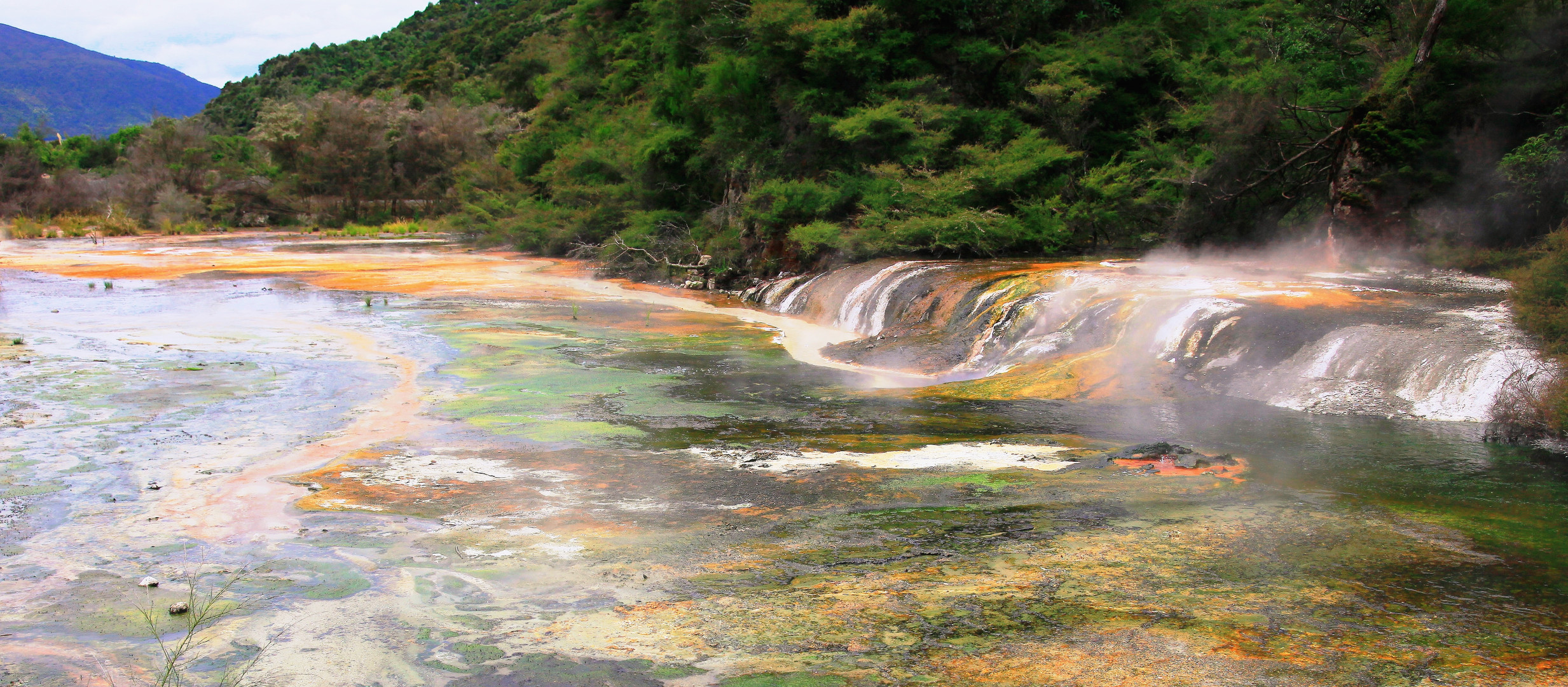 Warbrick Terrace (Waimangu Valley)