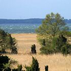 Waren / Müritz, Nationalpark