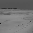 Warf im Schneesturm