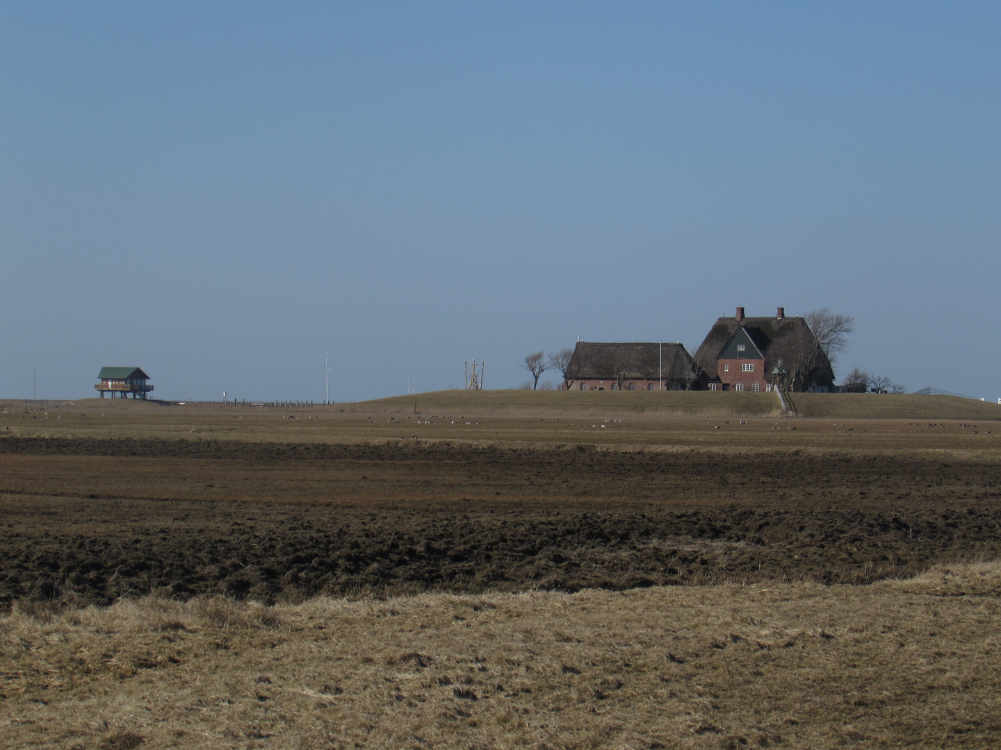 Warft Foto & Bild deutschland, europe, schleswig holstein Bilder auf