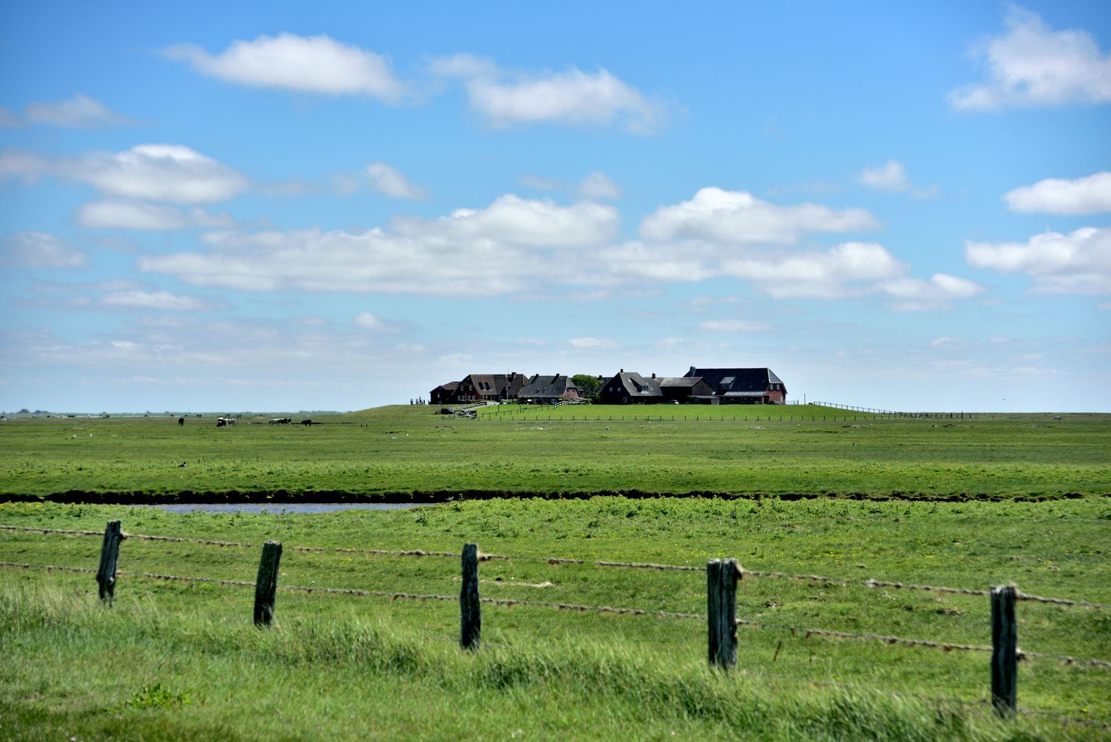 Warft auf Hallig Hooge #6