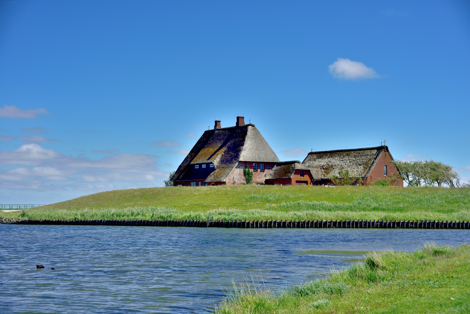 Warft auf Hallig Hooge #7