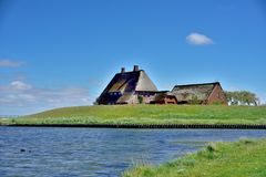 Warft auf Hallig Hooge #7