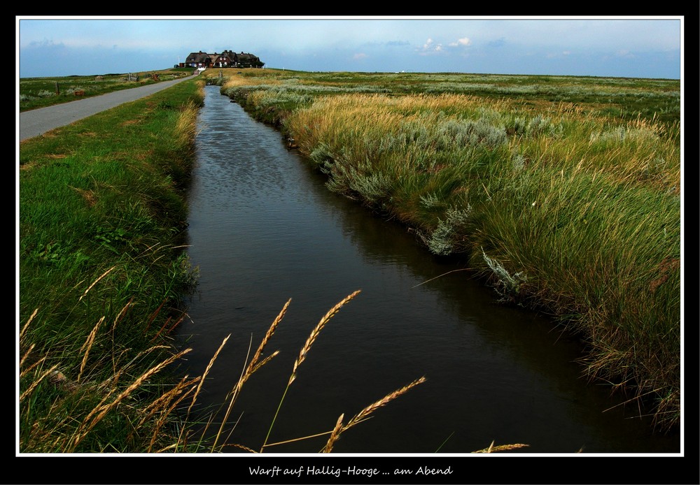 Warft auf Hallig-Hooge