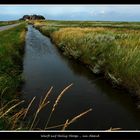 Warft auf Hallig-Hooge