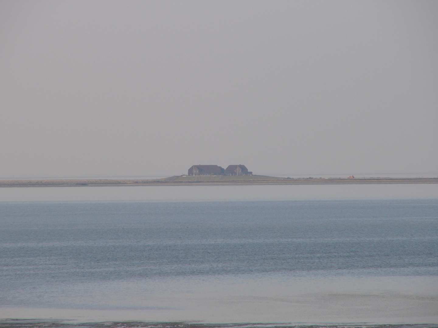 Warft on Hallig Hooge in the Mist