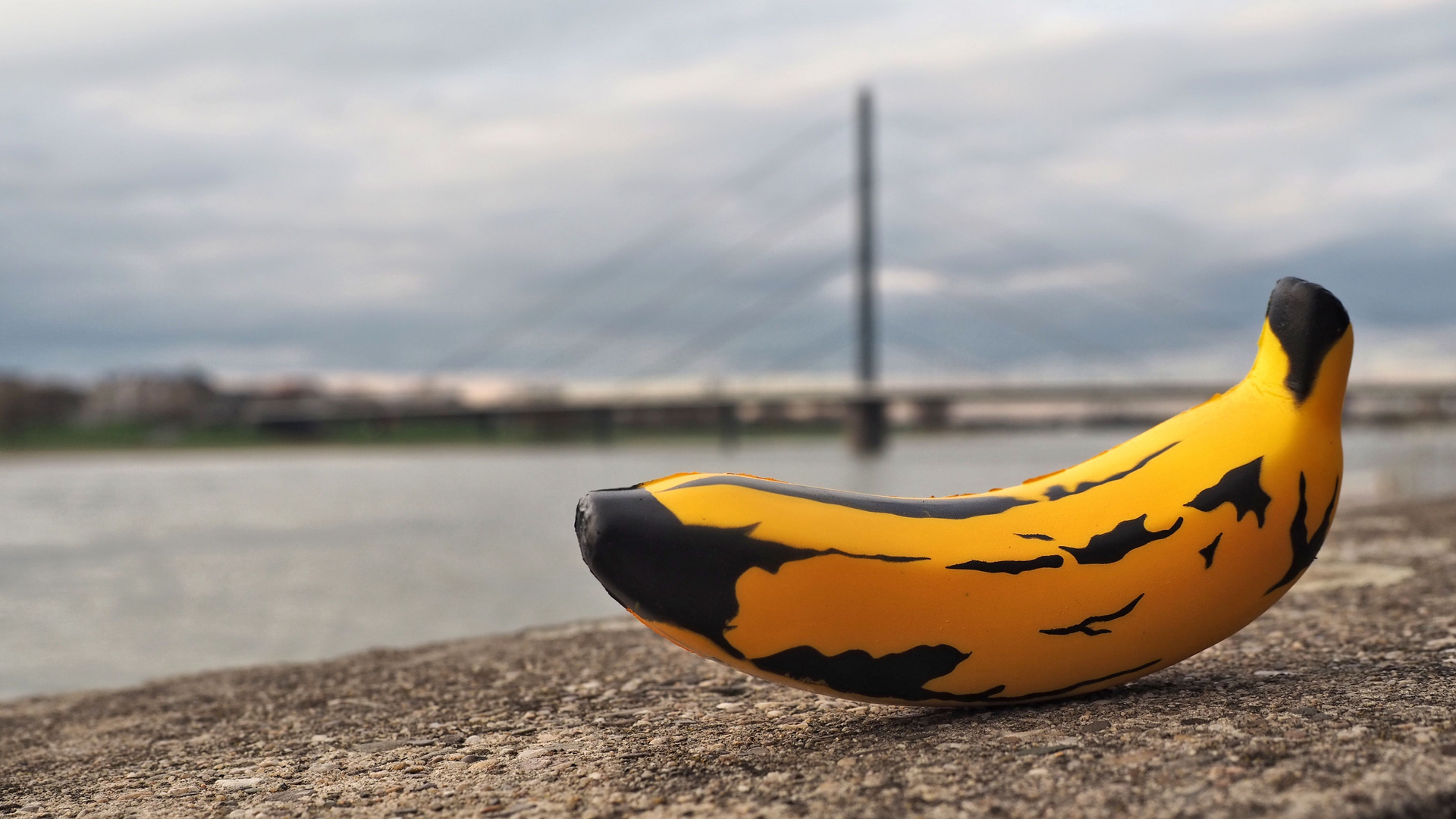 Warhol´s Banana on Tour 02