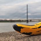 Warhol´s Banana on Tour 02