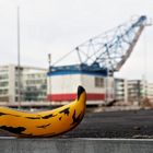 Warhol´s Banana on Tour 03