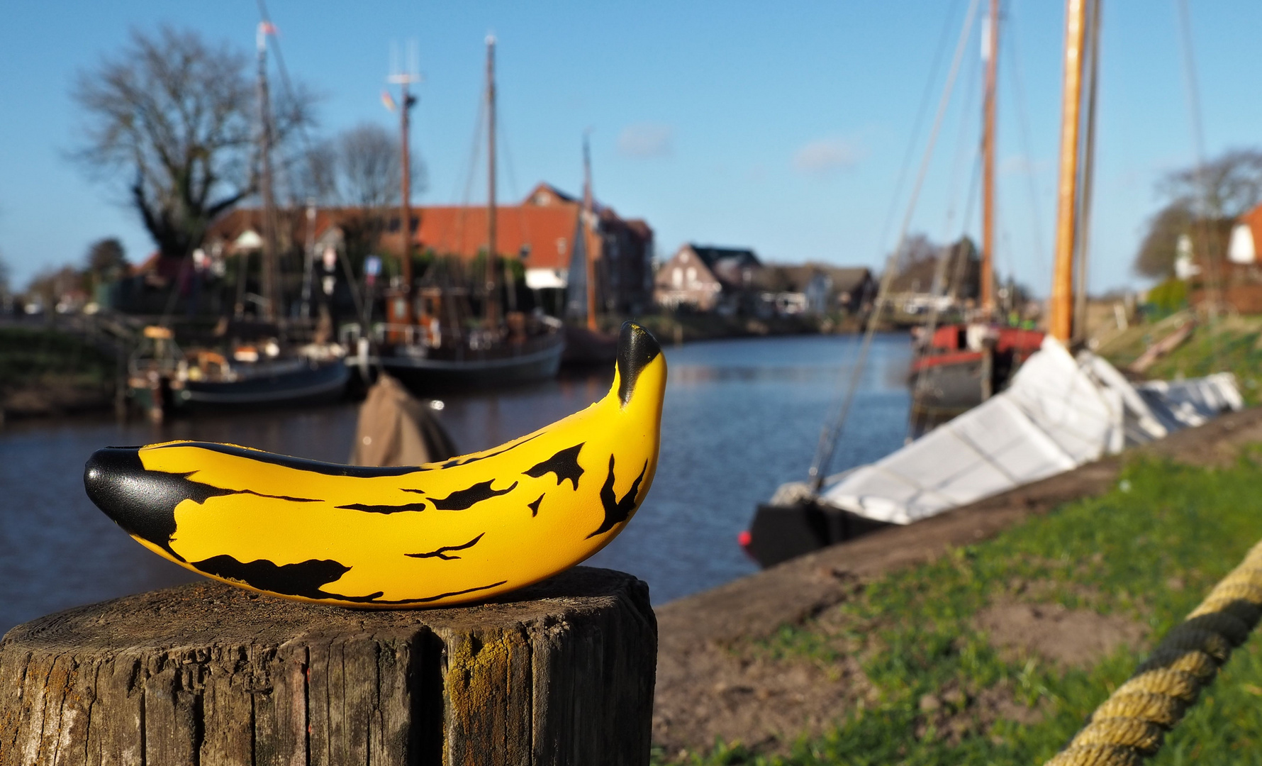 Warhol´s Banana on Tour 04