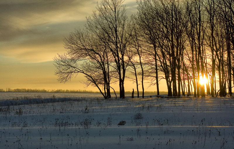 Warm decline in winter evening